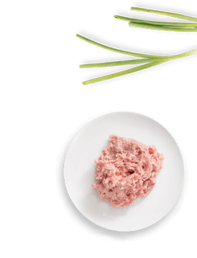 Kitchen Equipment Manufacturer in Delhi